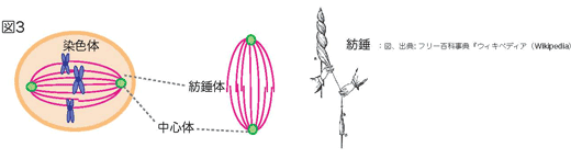 分配をおこなうしくみ