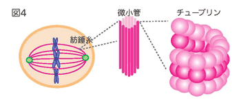 分配をおこなうしくみ