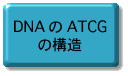 
遺伝子の設計図集から一つの部品の設計図を写す