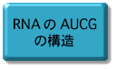 写した設計図を職人さんに見せて部品（蛋白質）を作ってもらう