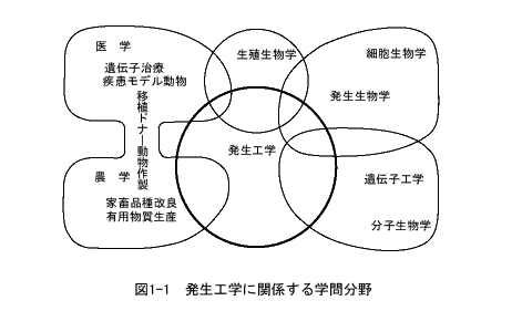 発生工学に関係する学問分野