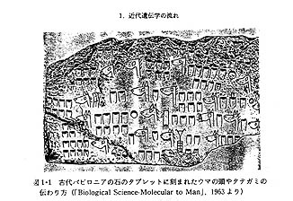 古代バビロニアの石のタブレットに刻まれたウマの頭やタテガミの特徴の伝わり方